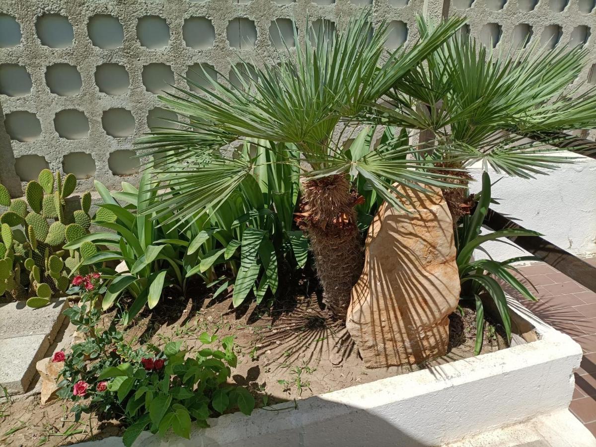 Mony'S Island B&B Alghero Ngoại thất bức ảnh